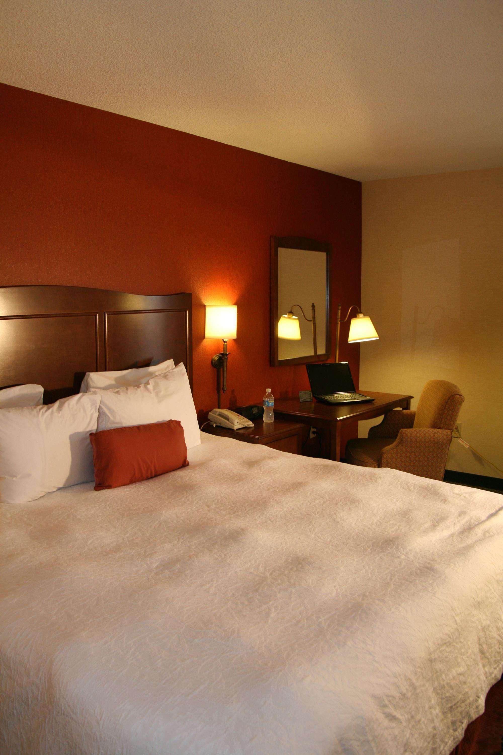 Hampton Inn Atlanta-North Druid Hills Pokoj fotografie
